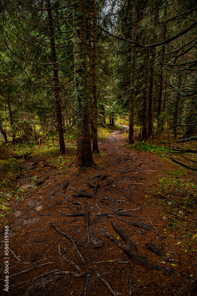Obraz premium Mountain path in high mountains 