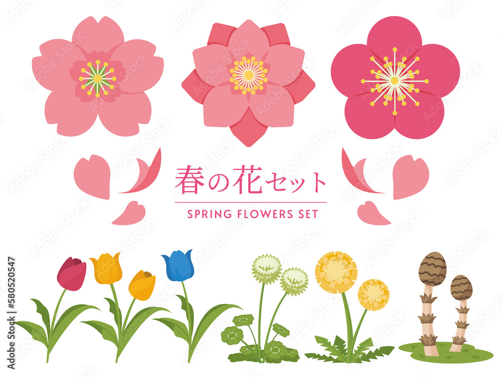 春の花セット 春の花セット