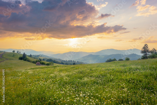 Picturesque scenery of summer green hills under gorgeous sunset sky with clouds. Wildflowers on a green grass meadow. © stone36