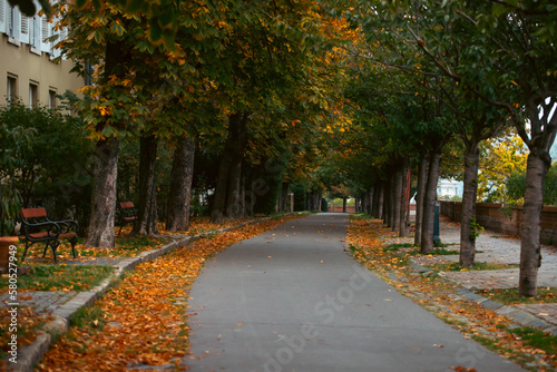 Autumn in Budapest, Hungary. © erika8213