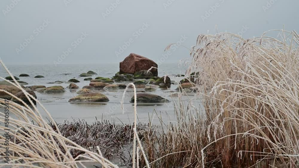 Time stood still on a frosty winter seashore. Cold and calm. Lohusalu. Time stood still on a frosty winter seashore. Cold and calm. Lohusalu.