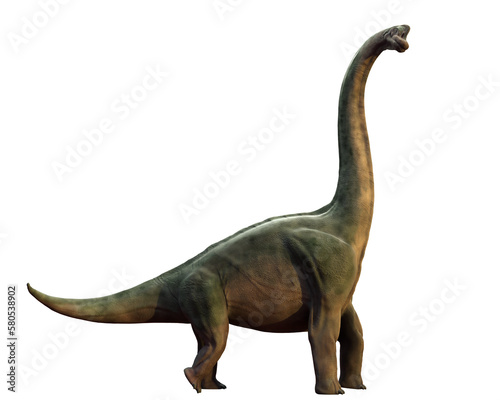 Brachiosaurus altithorax from the Late Jurassic  isolated on transparent background  side view