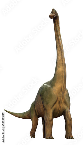Brachiosaurus altithorax, prehistoric animal from the Late Jurassic, isolated on transparent background
