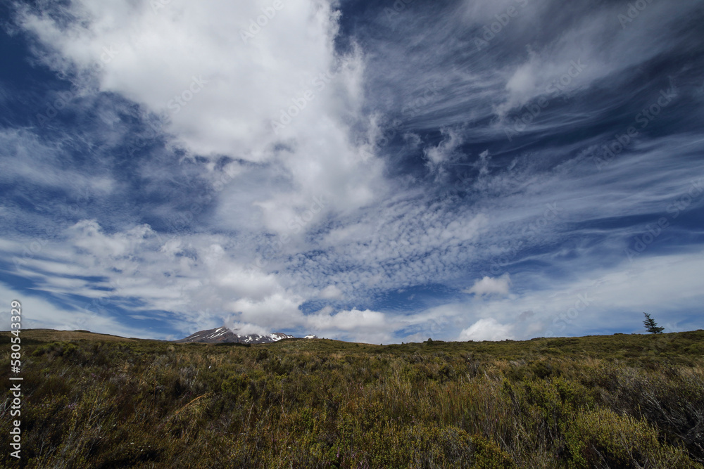 Scenic view of Mt Ruapehu on grassy field against cloudy sky at Tongariro National Park Scenic view of Mt Ruapehu on grassy field against cloudy sky at Tongariro National Park