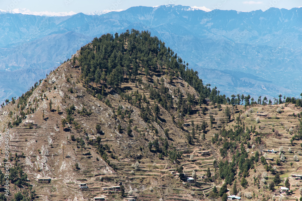 Nature in Malam Jabba close Hindu Kush mountains of Himalayas, Pakistan