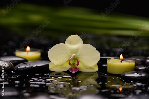 spa concept of white orchid with black zen stones and candle  leaves on a wet background