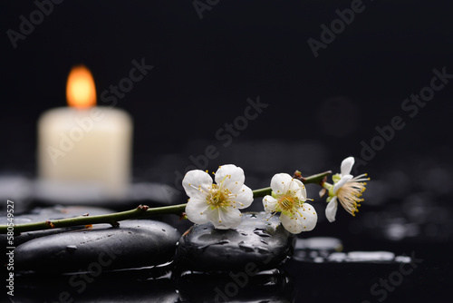 Spa still life of zen stones ,candle with drops and blooming twig of plum ,cherry with petals 