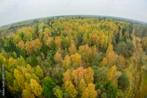 Autumn trees changing colours of leaves through very wide top view angle