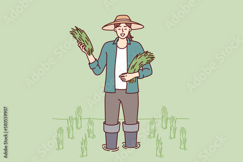 Farmer girl on rice plantation with rice sprouts during harvest season of organic wheat crop. Farmer woman in hat stands in water on plantation for growing organic products for sale at farmers fair 