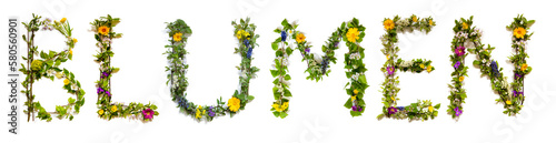 Colorful Blooming Flower Letters Building Word Blumen Means Flower