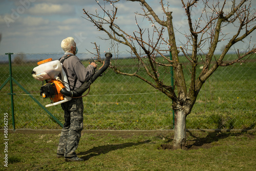 senior worker,pensioner with protective mask sprinkling fruit trees for protection in orchard.health care and protection at work with toxic chemicals
