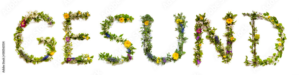 Blooming Flower Letters Building German Word Gesund Means Healthy Blooming Flower Letters Building German Word Gesund Means Healthy