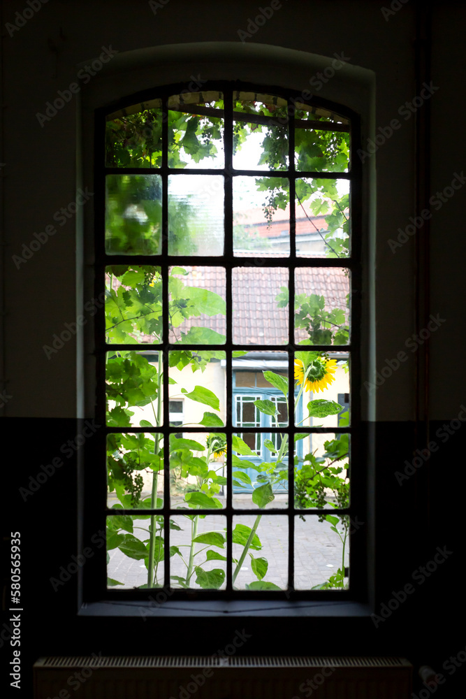 Germany, Brandenburg, Potsdam, Building seen through paned window in summer