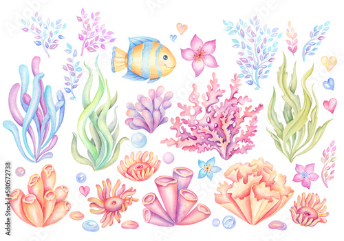 Set of colorful corals and seaweed. Marine plants and aquarium algae on transparent background. Underwater flora hand painted watercolor illustration. Under the sea clip art