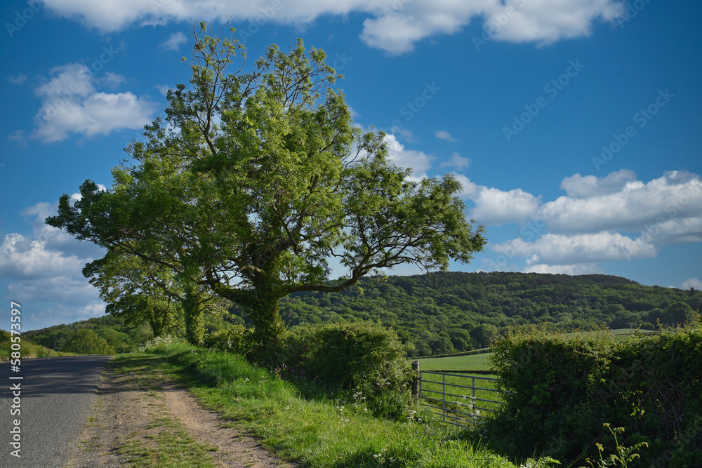 Obraz premium Yorkshire landscape
