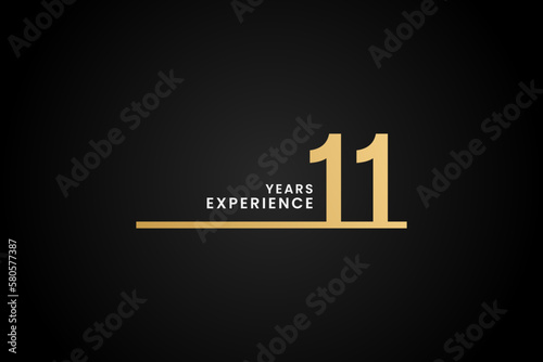 11 Years experience or Best 11 Years experience vector in flat style. Logos 11 years experience. Suitable for marketing logos related to 11 years of experience in the business or industry.