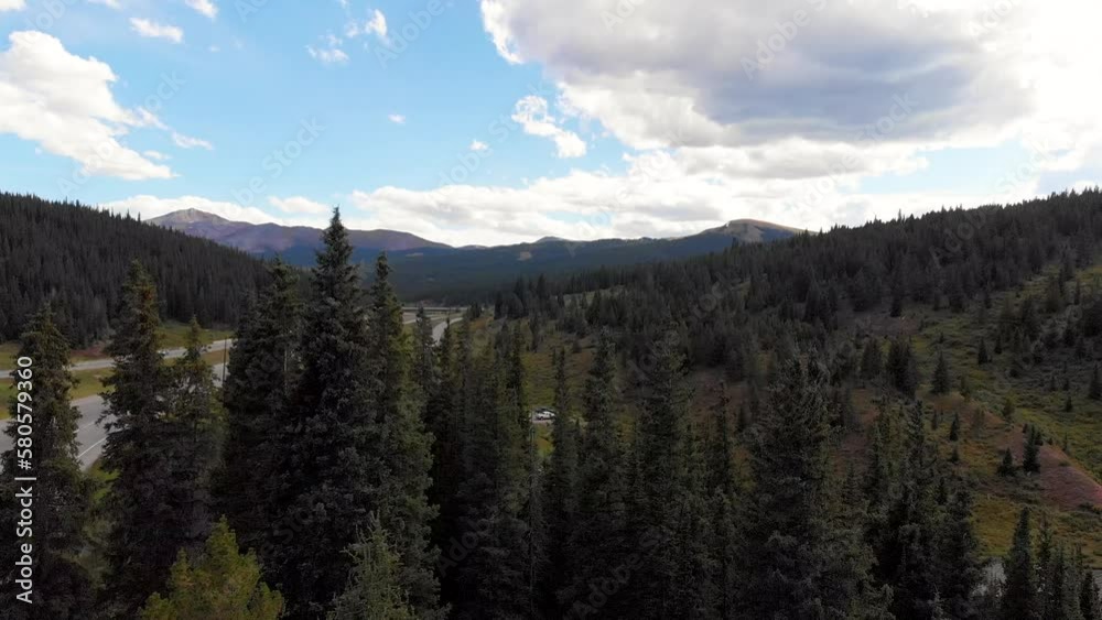 Rocky mountain grove of trees near highway during summer. Rocky mountain grove of trees near highway during summer.