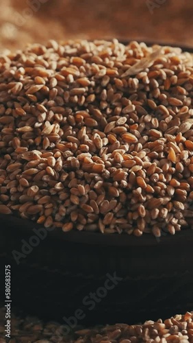 Grain is poured into a clay bowl Slow motion Vertical video