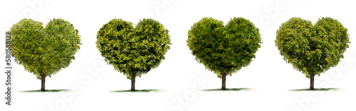 Grüner Herzbaum auf einer grünen Wiese