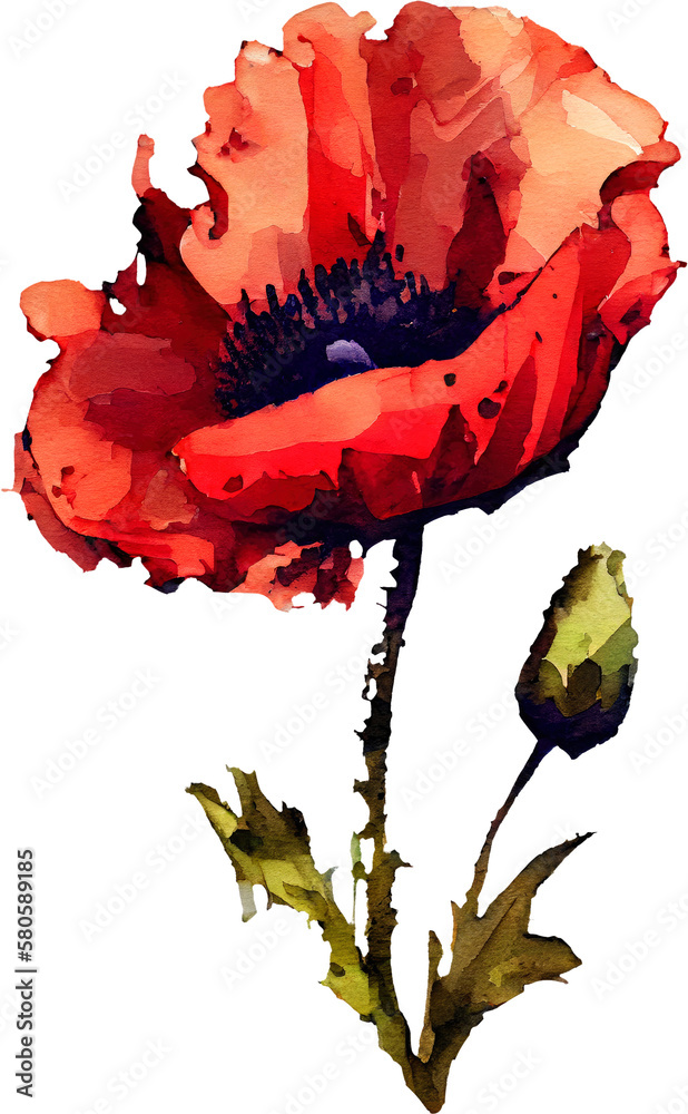 poppy transparent background - Generative AI Stock Illustration | Adobe ...
