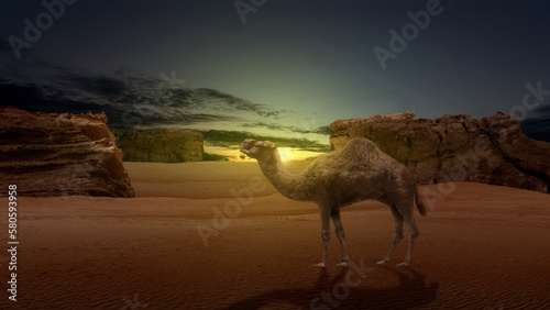 Camel crossing the desert