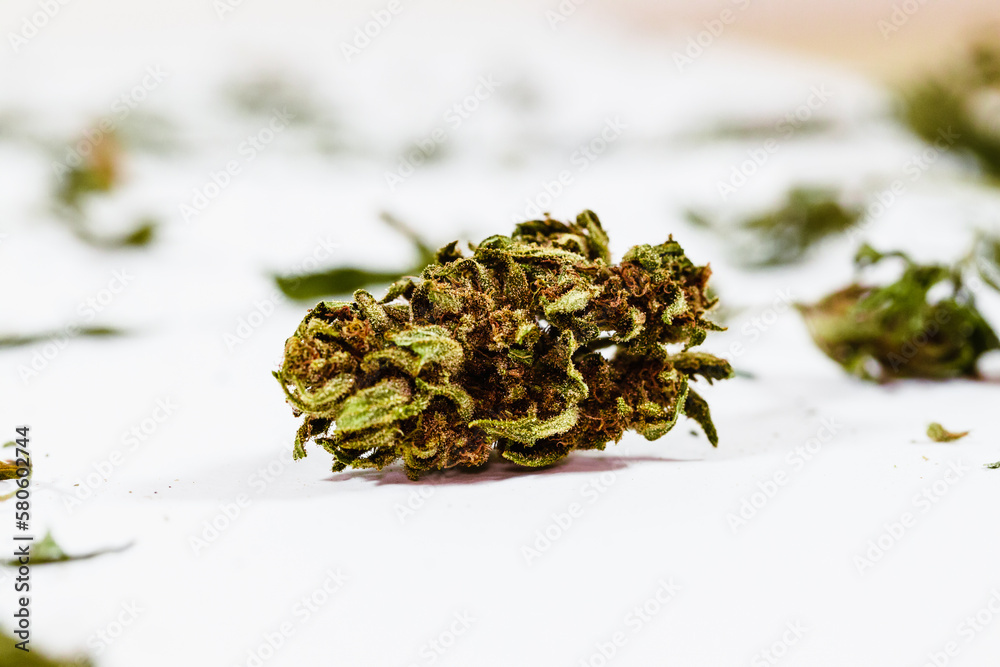 A closeup of a cannabis flower THC CBD illegal plants legal plants, natural product, natural medicine, therapeutic, macro photography A closeup of a cannabis flower THC CBD illegal plants legal plants, natural product, natural medicine, therapeutic, macro photography