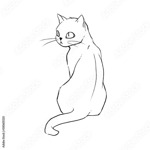 The rear view of the cat sitting on the floor looking to the left.