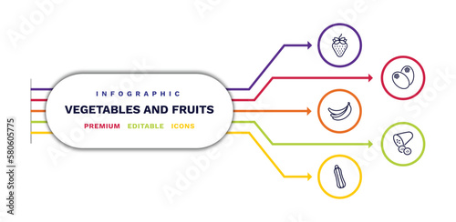 set of vegetables and fruits thin line icons. vegetables and fruits outline icons with infographic template. linear icons such as strawberry, banana, courgette, breast milk fruit, cucumber vector.