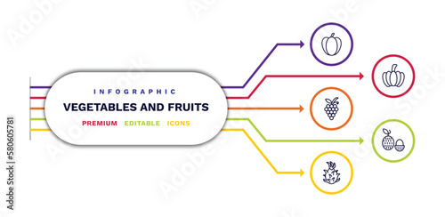 set of vegetables and fruits thin line icons. vegetables and fruits outline icons with infographic template. linear icons such as pepper, grapes, pitaya, pumpkin, lychee vector.