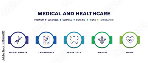 set of medical and healthcare thin line icons. medical and healthcare outline icons with infographic template. linear icons such as medical chain of dna, x ray of bones, molar tooth, caduceus,