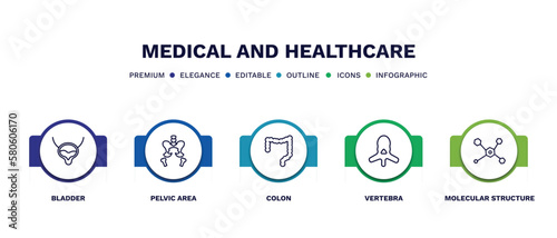 set of medical and healthcare thin line icons. medical and healthcare outline icons with infographic template. linear icons such as bladder, pelvic area, colon, vertebra, molecular structure vector.