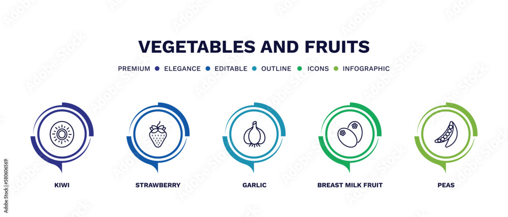 set of vegetables and fruits thin line icons. vegetables and fruits outline icons with infographic template. linear icons such as kiwi, strawberry, garlic, breast milk fruit, peas vector. set of vegetables and fruits thin line icons. vegetables and fruits outline icons with infographic template. linear icons such as kiwi, strawberry, garlic, breast milk fruit, peas vector.