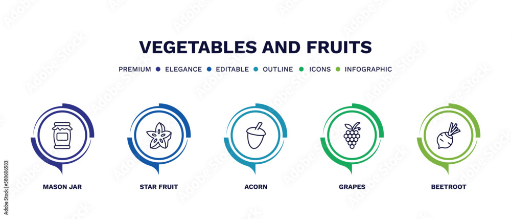 set of vegetables and fruits thin line icons. vegetables and fruits outline icons with infographic template. linear icons such as mason jar, star fruit, acorn, grapes, beetroot vector. set of vegetables and fruits thin line icons. vegetables and fruits outline icons with infographic template. linear icons such as mason jar, star fruit, acorn, grapes, beetroot vector.
