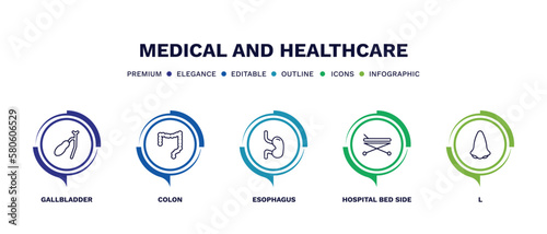 set of medical and healthcare thin line icons. medical and healthcare outline icons with infographic template. linear icons such as gallbladder, colon, esophagus, hospital bed side view, l vector.
