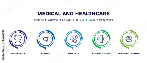 set of medical and healthcare thin line icons. medical and healthcare outline icons with infographic template. linear icons such as molar tooth, bladder, drug pills, sticking plaster, biological