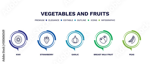 set of vegetables and fruits thin line icons. vegetables and fruits outline icons with infographic template. linear icons such as kiwi, strawberry, garlic, breast milk fruit, peas vector.