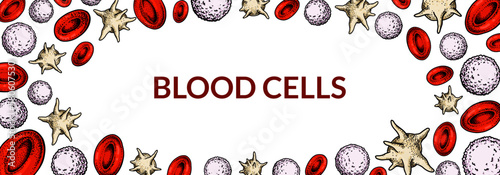 Blood cells background. Design for blood test, anemia, donation, hemophilia, laboratory scientific research concepts. Vector illustration in sketch style