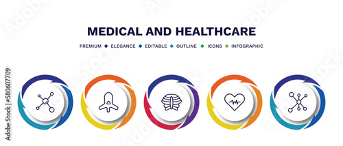 set of medical and healthcare thin line icons. medical and healthcare outline icons with infographic template. linear icons such as molecular configuration, vertebra, sternum, diagtic, cells in a