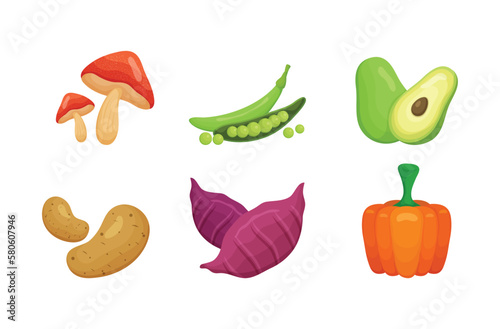 Fresh vegetables collection in style. Big greens harvest set. Different vegetarian foods. Agriculture design.Collection of veggies. Best for menu and package designs. shiitake mushroom