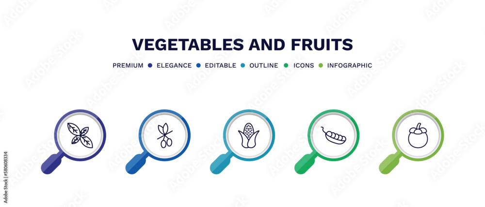 set of vegetables and fruits thin line icons. vegetables and fruits outline icons with infographic template. linear icons such as basil, olive, corn, pea, mangosteen vector. set of vegetables and fruits thin line icons. vegetables and fruits outline icons with infographic template. linear icons such as basil, olive, corn, pea, mangosteen vector.