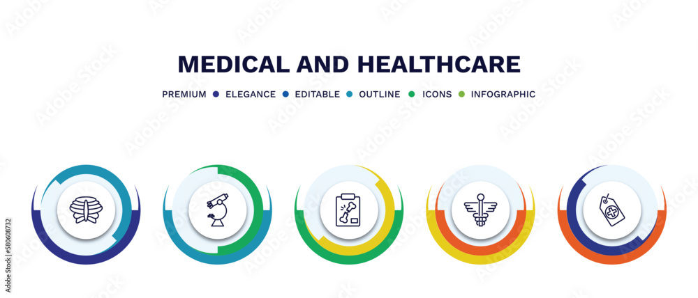 set of medical and healthcare thin line icons. medical and healthcare outline icons with infographic template. linear icons such as sternum, microscope tool, x ray of bones, caduceus, tag with a set of medical and healthcare thin line icons. medical and healthcare outline icons with infographic template. linear icons such as sternum, microscope tool, x ray of bones, caduceus, tag with a
