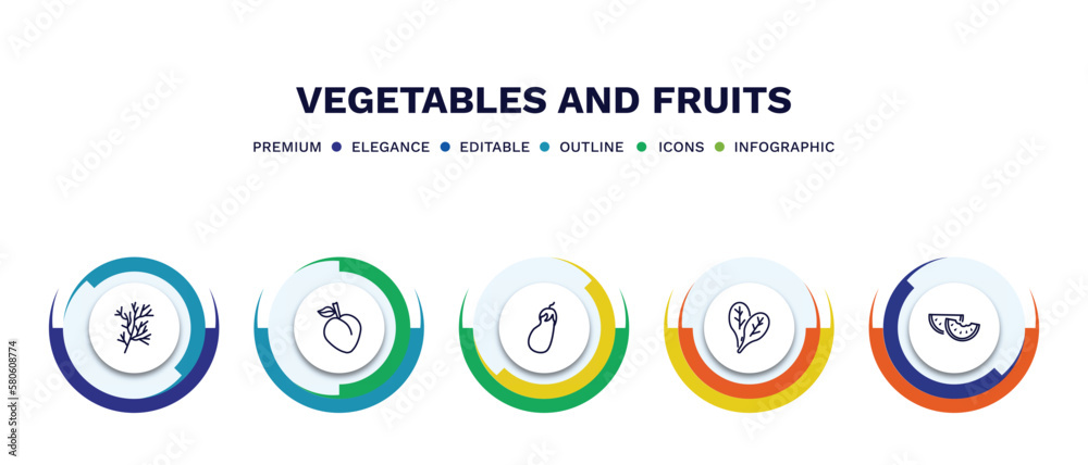 set of vegetables and fruits thin line icons. vegetables and fruits outline icons with infographic template. linear icons such as dill, peach, eggplant, spinach, watermelon vector. set of vegetables and fruits thin line icons. vegetables and fruits outline icons with infographic template. linear icons such as dill, peach, eggplant, spinach, watermelon vector.