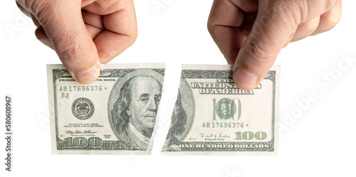 Hand holding torn dollar banknote isolated