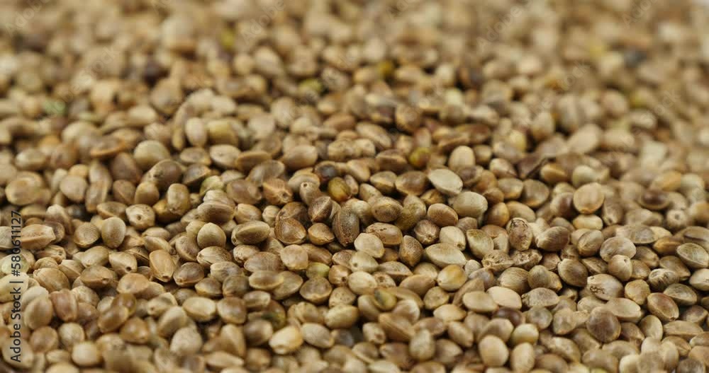 Hemp Seeds Rotating Background, Macro. Organic Food. Dried Superfood. Hemp Seeds Texture Background