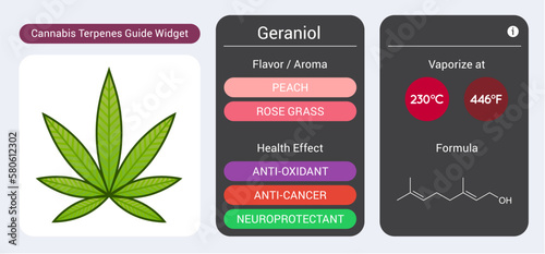 Cannabis Terpene Guide Information Chart. Aroma and Flavor with Health Benefits and Vaporize Temperature. Vector.