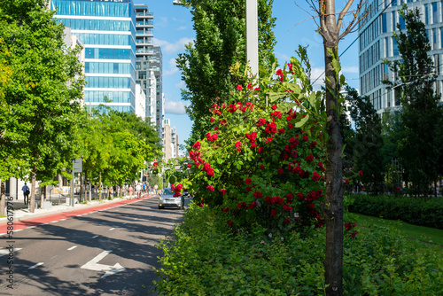 Street in the Oslo city  Norway