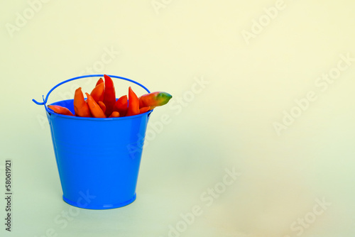Orange chili peppers in a blue bucket with copy space. The concept of agriculture and advertising of organic products