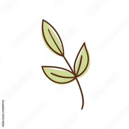 Cute floral botanical abstract leaf. Boho doodle vector illustrations.