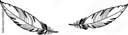 Illustration Federn 