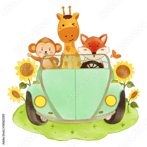 Photography Wildlife animals on car and sunflower